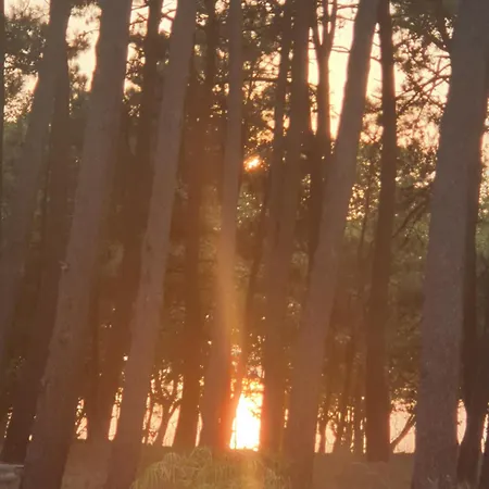 Homestay szállás Precioso En Samil A Pie De Playa Vigo